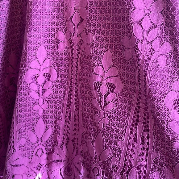 Francesca’s Mini Lace Dress - Picture 4 of 8